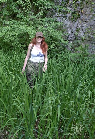 Бледная Поганка