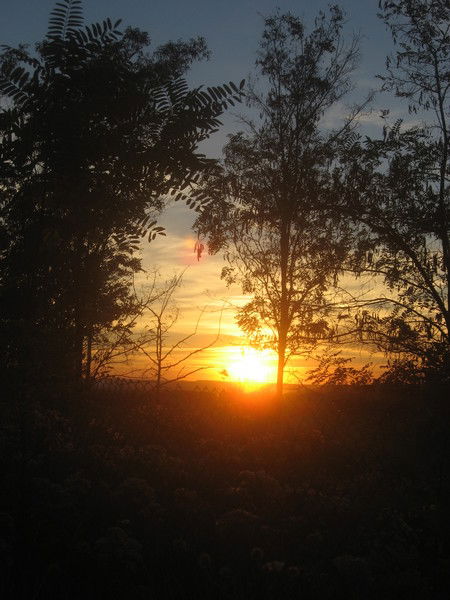 Марина Трубачева