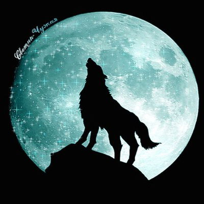 Илья Радамовский