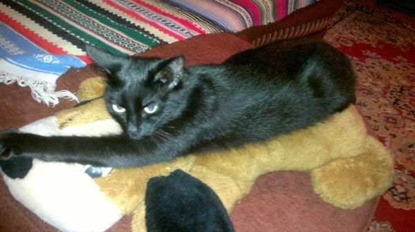 Екатерина Ильичева