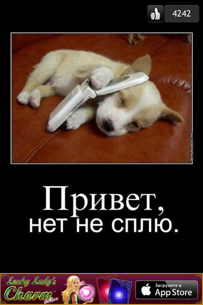 Софья Агишева