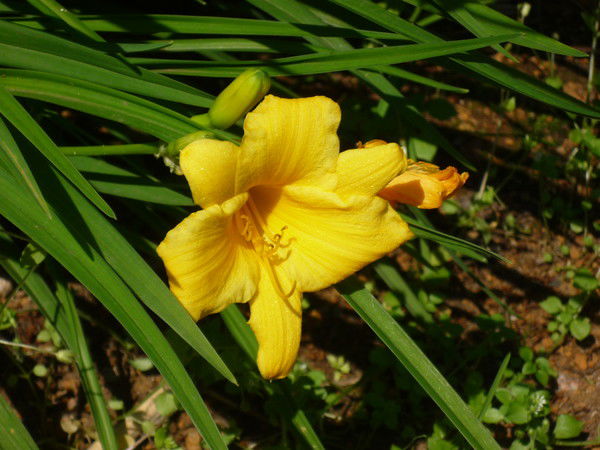 Наталья Валентиновна