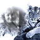Анна Любенко