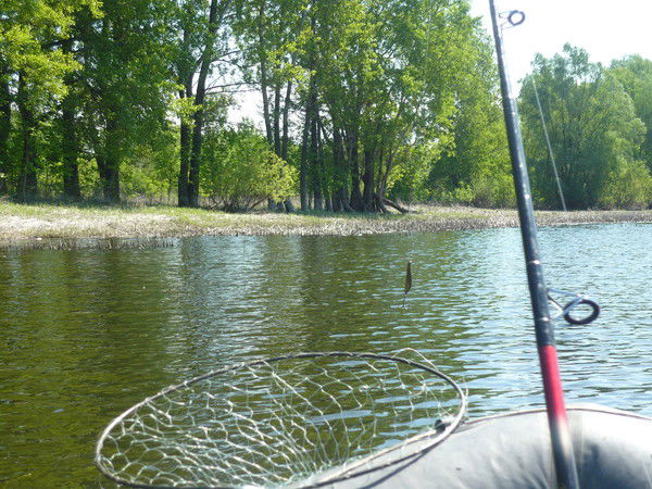 Алексей Меняйлов