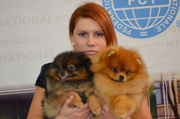 Анастасия Чепрасова