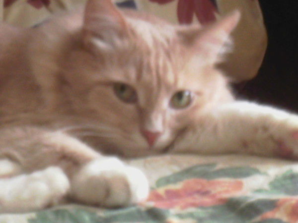 Сергей Бакаев