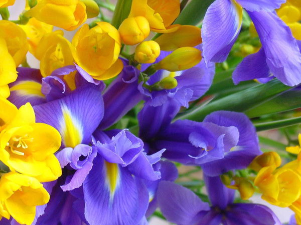 Татьяна Зотова