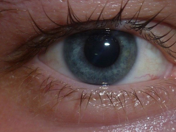 Андрей Наговицын