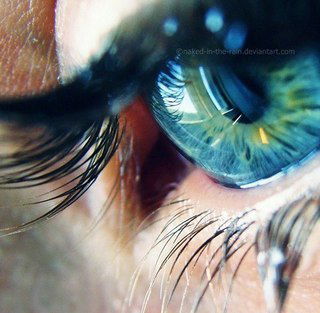 Екатерина Емельянова