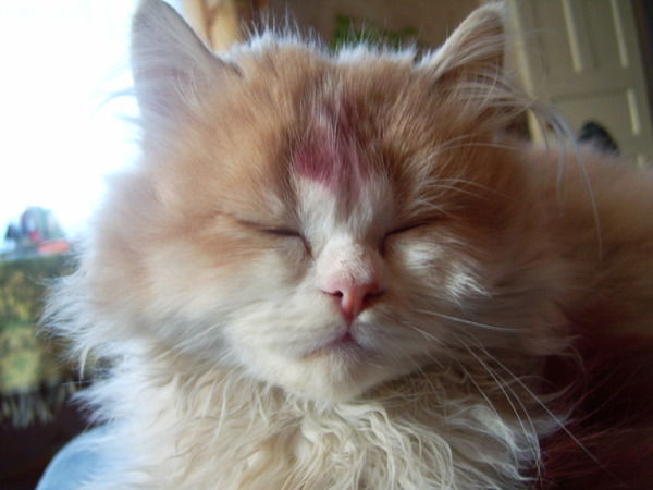 Саша Скворцов