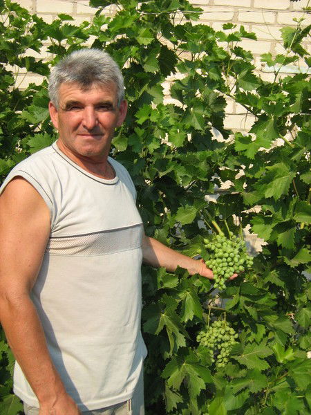 Павел Муравлев