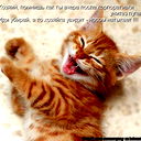 Константин Тензин