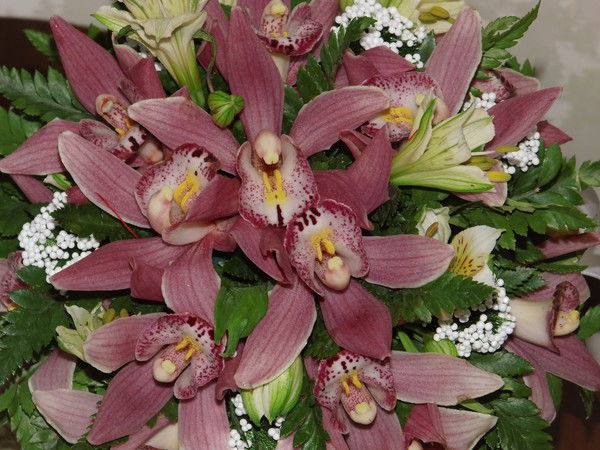 Наталья Дёмина