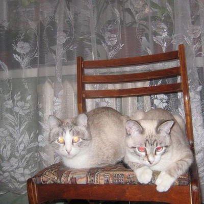 Данил Фаизов