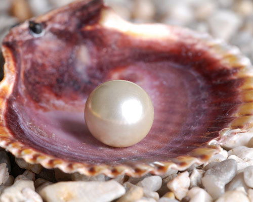 Агенство "жемчужина"