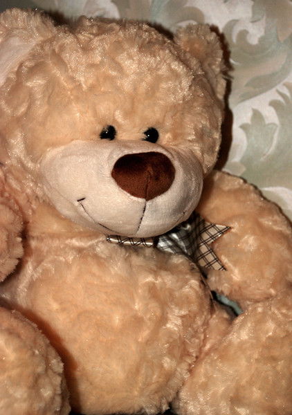 Катерина Медведева