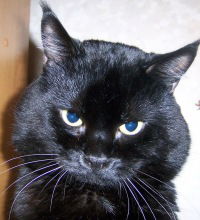 Анатолий Дятлов