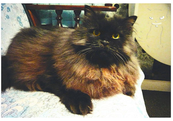 Margaritovna Margaritovna