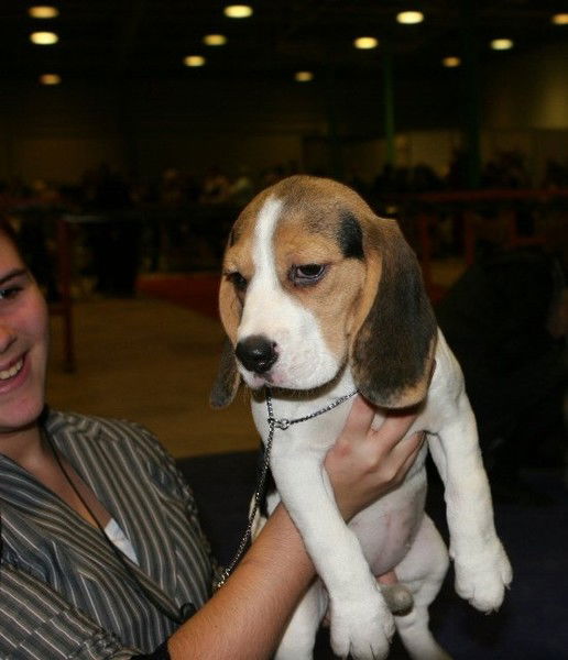 Мария Ананьева