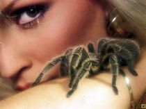 Елена Глуханова