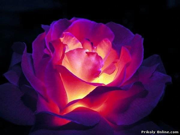 Евгения Веретельник