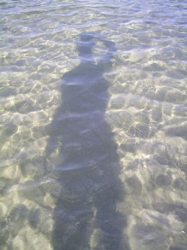 Виктор Городилин