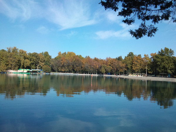 Алишер Тешаев