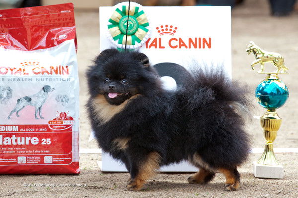 Елена Кабанова