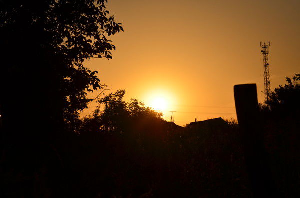 Юлия Габриелян