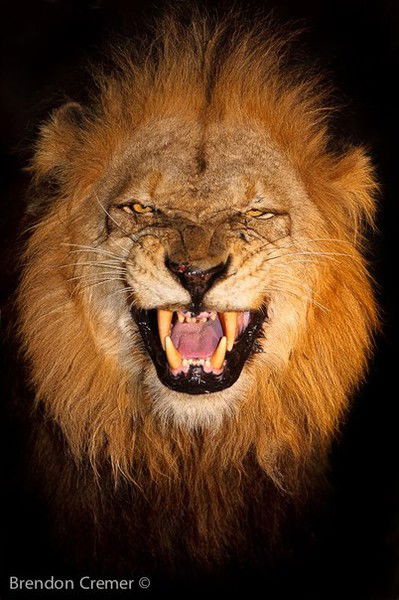 Василий Пупкин