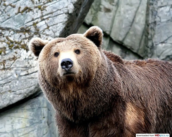 Сергей Люботин