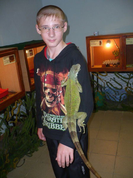 Владислав Минин