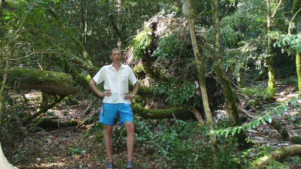 Михаил Орешкин