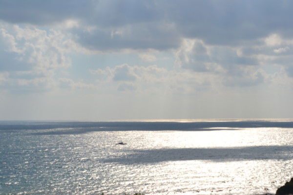 Артем Котов