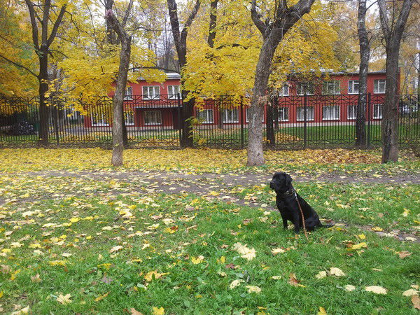 Эльдар Голубев