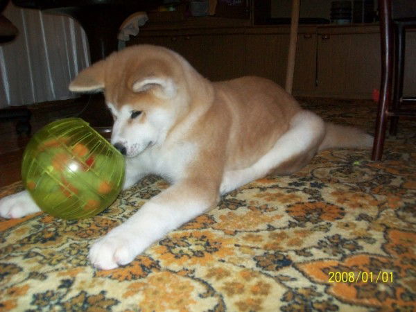 Олег Мурзин