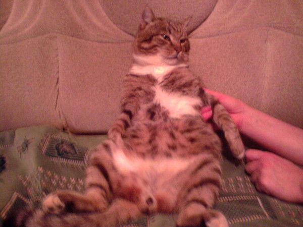 Сергей Захаров