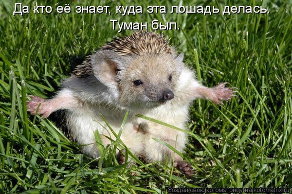 Маруся Звездная ))