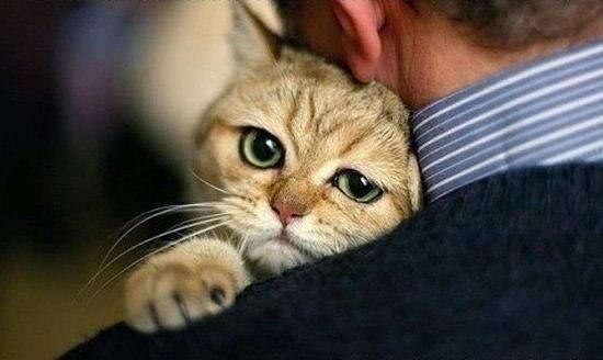 Илья Jingle Бел