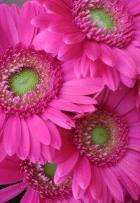 Светлана Иванова