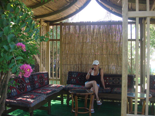 Елена Панченко