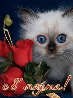 Тамара Кашицына