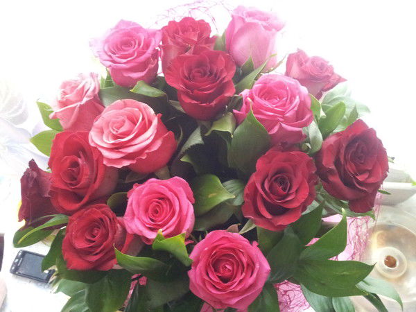 Наталья Торяник