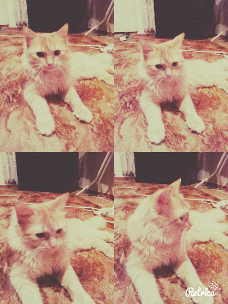 Танюшка Танюшка