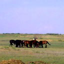 Жумабек Абдуллаев