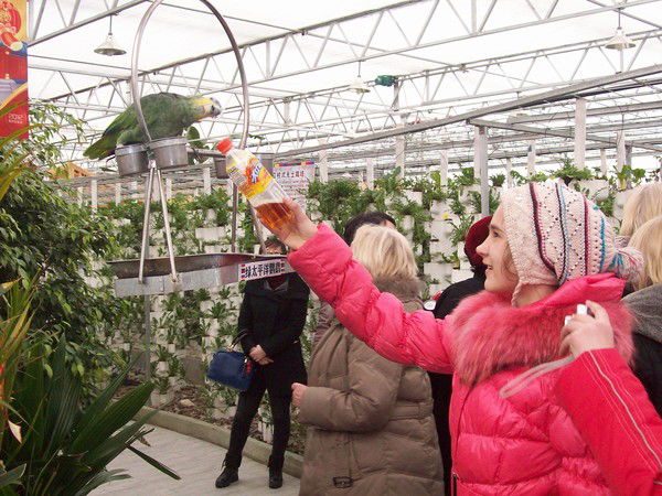 *катюха* Рулит*