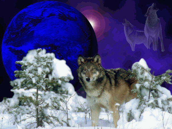 Алишер Жусипбек