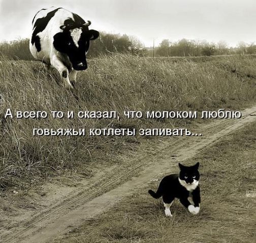 Эльмира Хальфиева