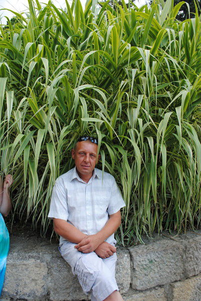 Иван Данцевич