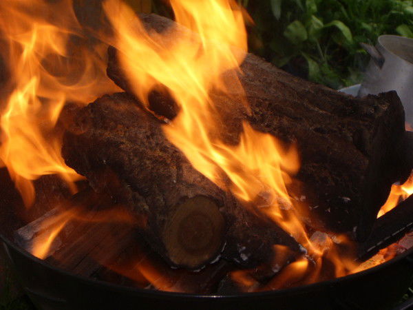 Larissa Kalenitsenko